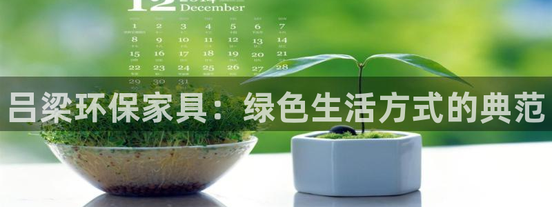 沐鸣2平台注册网址：吕梁环保家具：绿色生活方式的典范