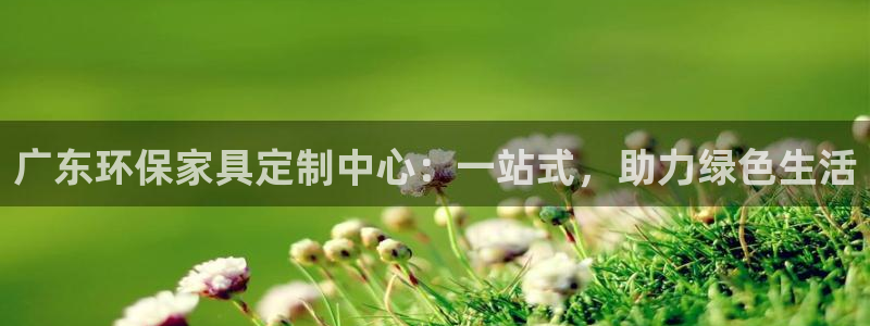 沐鸣2登录网页：广东环保家具定制中心：一站式，助力绿色生活