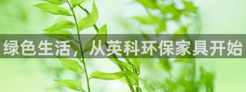 沐鸣2是什么平台：绿色生活，从英科环保家具开始