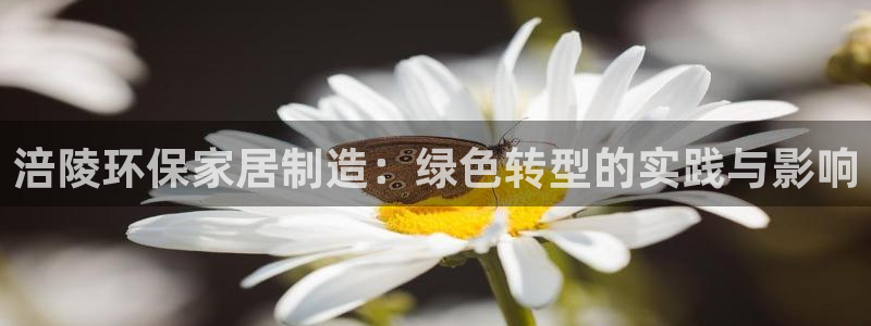 沐鸣2平台客服：涪陵环保家居制造：绿色转型的实践与影响