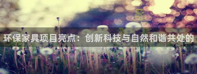 沐鸣2平台测：环保家具项目亮点：创新科技与自然和谐共处的