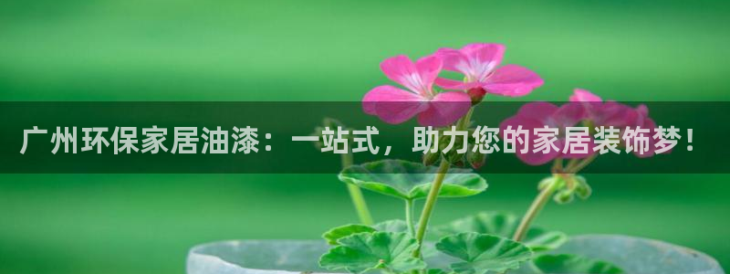 沐鸣2注册代理：广州环保家居油漆：一站式，助力您的家居装饰梦