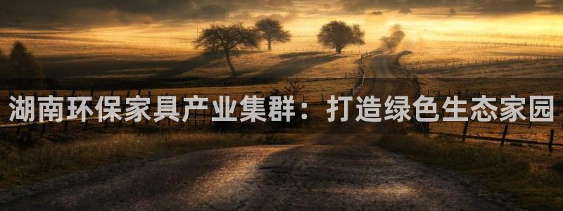 沐鸣2怎么注册：湖南环保家具产业集群：打造绿色生态家园