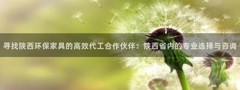 沐鸣2总代理：寻找陕西环保家具的高效代工合作伙伴：陕西省内的