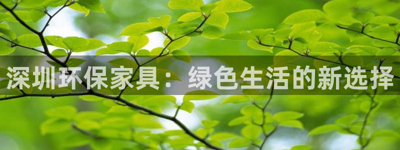 沐鸣2平台注册登录：深圳环保家具：绿色生活的新选择