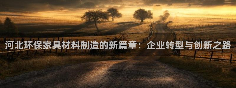 沐鸣2官方注册中心：河北环保家具材料制造的新篇章：企业转型与