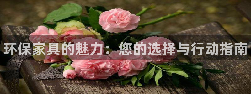 沐鸣2注册登录官网：环保家具的魅力：您的选择与行动指南