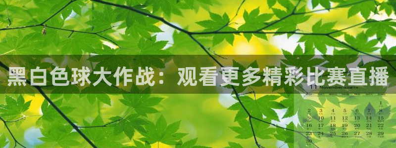 咪咕体育视频：黑白色球大作战：观看更多精彩比赛直播