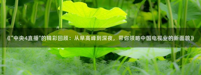 咪咕视频体育直播郑钦文今天：《\