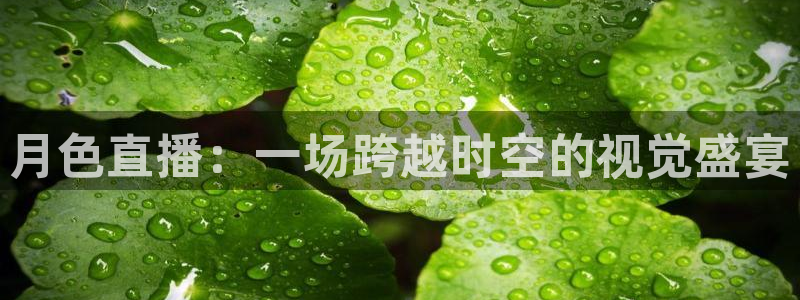 咪咕视频安装包下载：月色直播：一场跨越时空的视觉盛宴