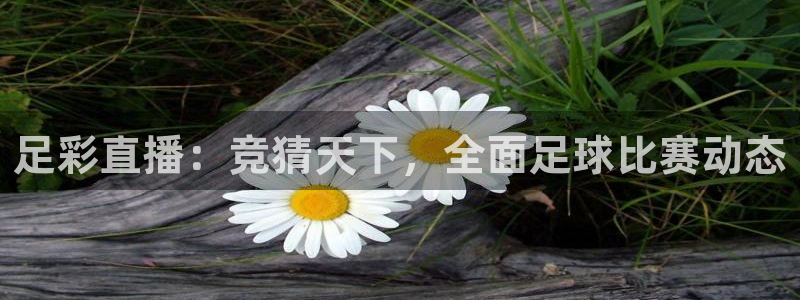 下载咪咕视频：足彩直播：竞猜天下，全面足球比赛动态