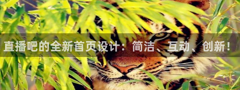 咪咕体育在线观看