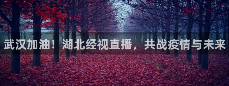 免费看咪咕体育直播