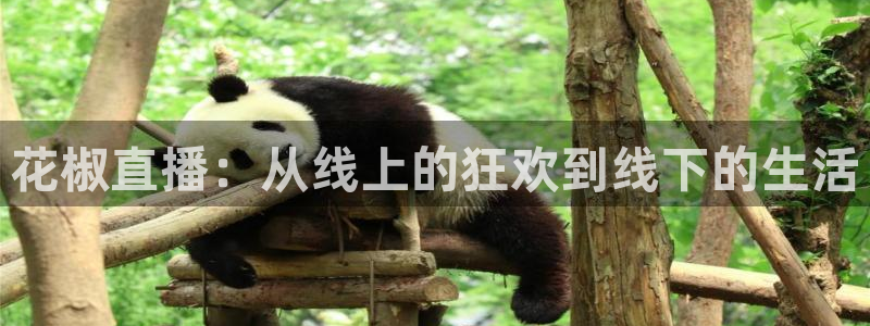 咪咕视频-上咪咕看英超：花椒直播：从线上的狂欢到线下的生活