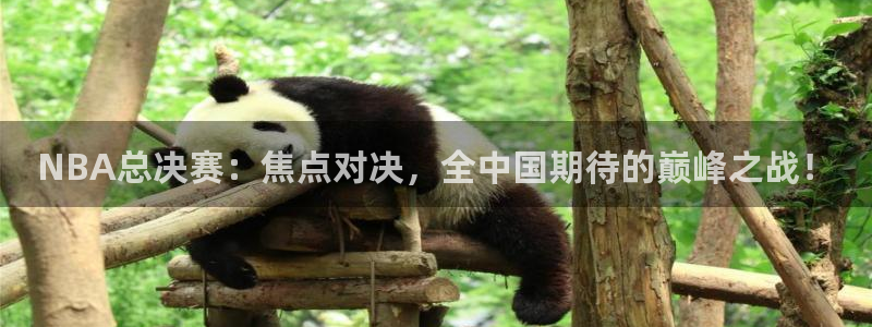 体育直播咪咕：NBA总决赛：焦点对决，全中国期待的巅峰之战！