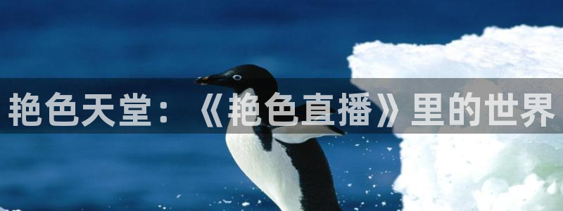 咪咕视频体育免费篮球现场直播：艳色天堂：《艳色直播》里的世界